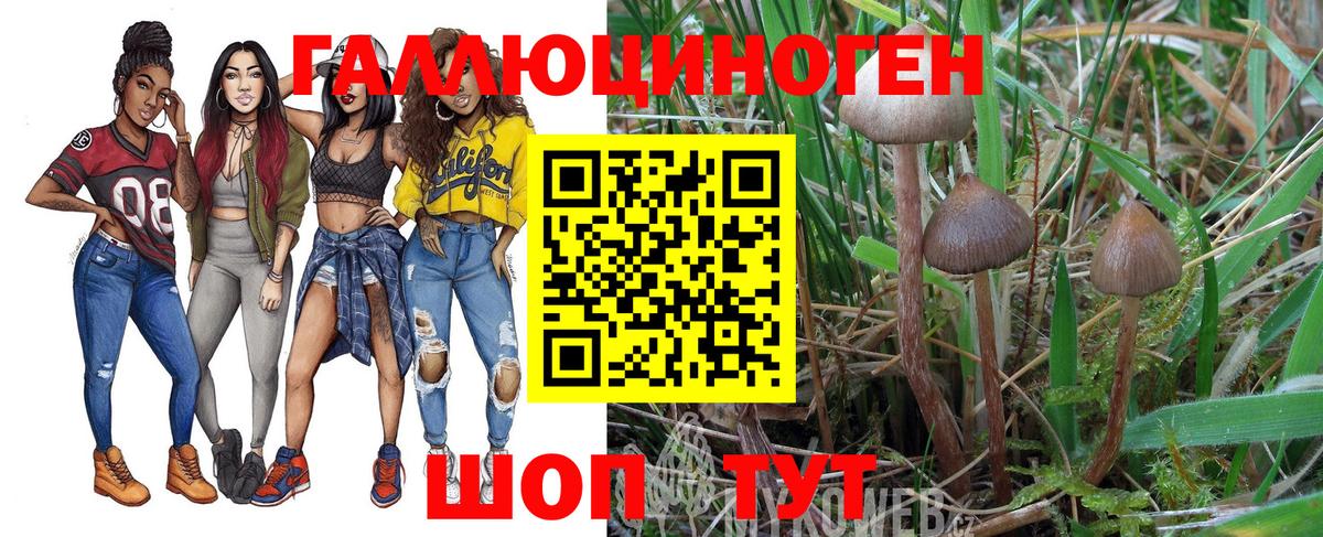 ГАШИШ Десногорск
