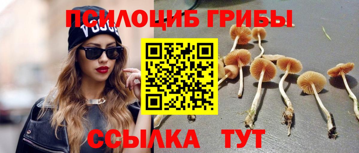 Галлюциногенные грибы GOLDEN TEACHER Десногорск